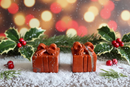 Holiday Gift Box with Bow, Red Jasper or Ocean Jasper FB2368