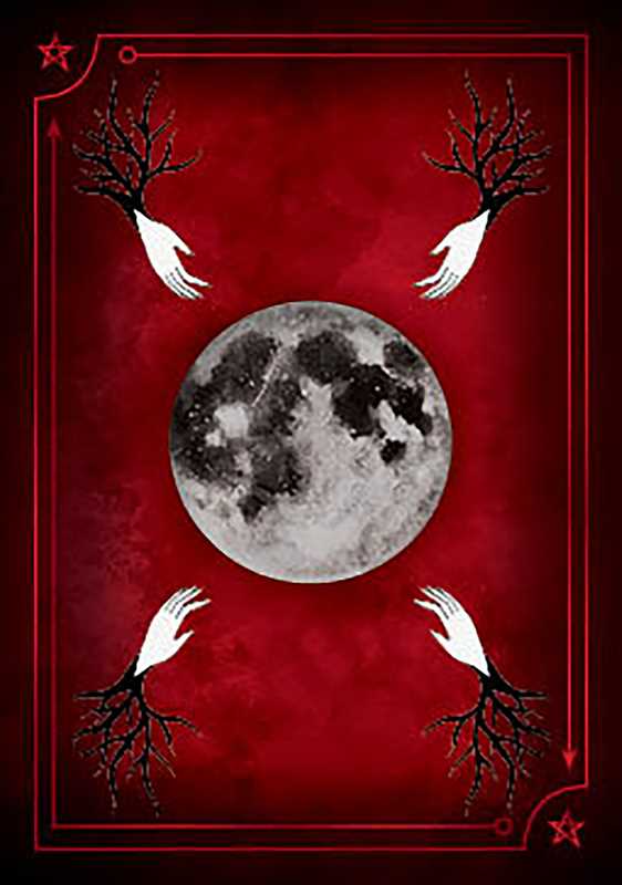 Seasons of the Witch: Samhain Oracle by Lorriane Anderson 🐦‍⬛