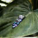 Rainbow Fluorite and Opal, Self-Control Pendant 💜 CIL16X