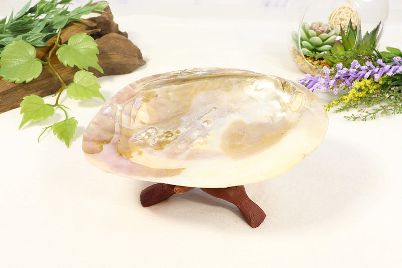 Pearl Shell, Luminescent for chakra work, intuition, peace and calm, FB3335