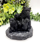 Shungite Bear Family on Base, grounding FB3450 🧡