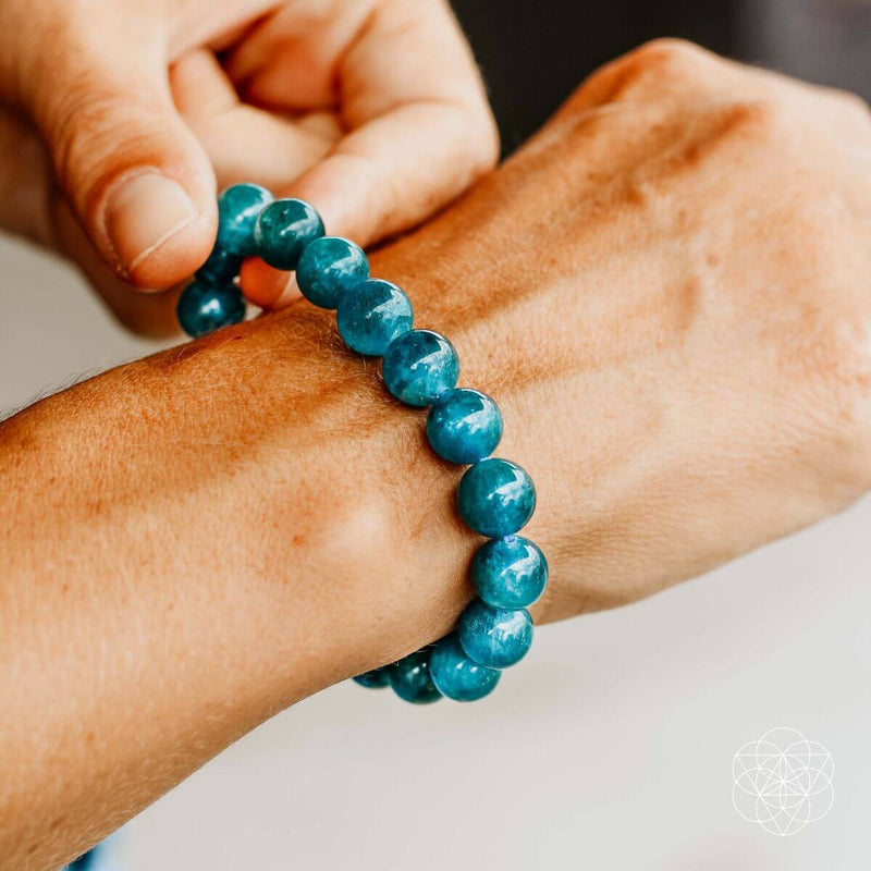 Apatite Brighter Future Power Bracelet CI35E 🦉