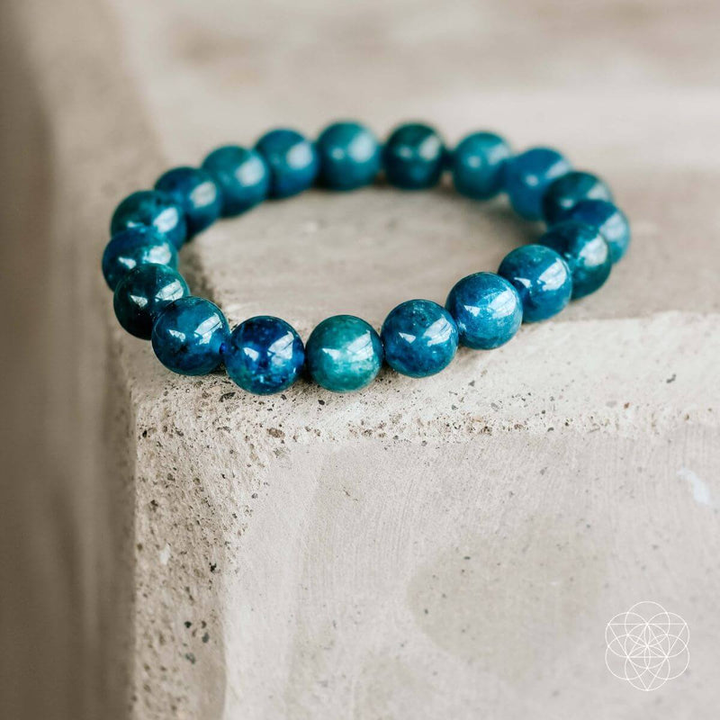 Apatite Brighter Future Power Bracelet CI35E 🦉