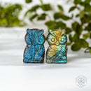 Token of Wisdom - Labradorite Owl Talisman CI542 🦉