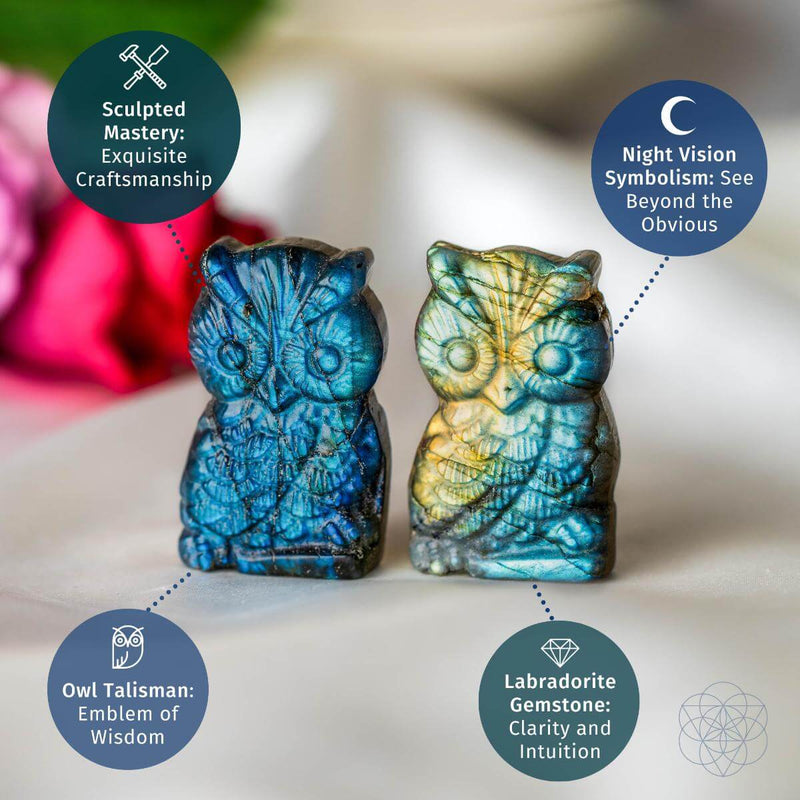 Token of Wisdom - Labradorite Owl Talisman CI542 🦉