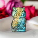 Token of Wisdom - Labradorite Owl Talisman CI542 🦉