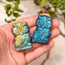 Token of Wisdom - Labradorite Owl Talisman CI542 🦉