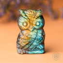 Token of Wisdom - Labradorite Owl Talisman CI542 🦉
