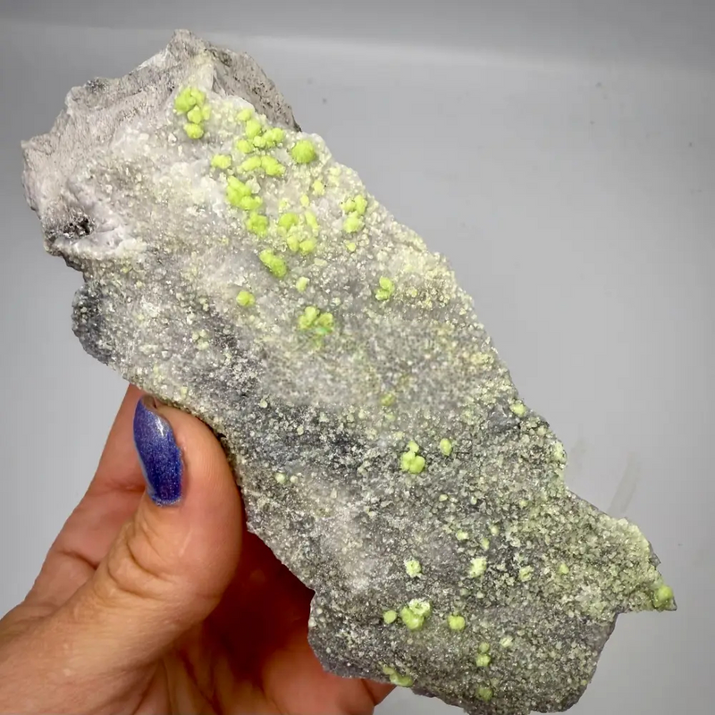 Wavellite – Mauldin Mountain, Arkansas, USA 🦋 WAV1
