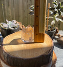 Smoky Quartz Standing Polished Point (Tower) from Brazil FB3195