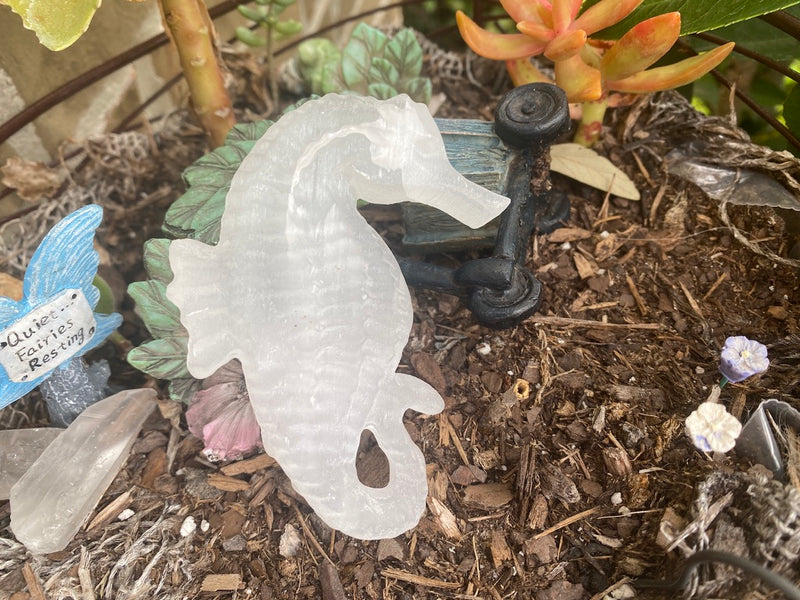 Selenite Seahorse Carving FB1926