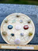 Turtle Totem / Spirit Stone on Assorted Gemstones