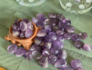 Tumbled Amethyst - Stone of Meditation, Soothes the Mind, Opens Intuition