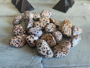 Tumbled Dalmatian Jasper - Teamwork, Cooperation, Strengthens Friendships