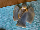Agate Drusy Carved Angel with Velvet Drawstring Pouch FB2639