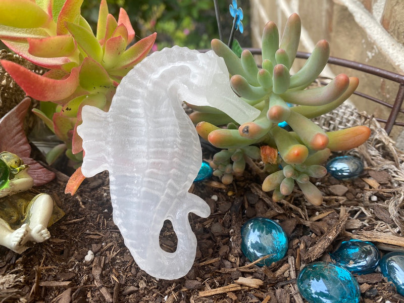 Selenite Seahorse Carving FB1926