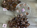 Tumbled  Smoky Quartz, Eliminates Negativity, Fertility, Grounding & Protection
