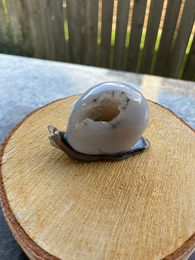 Agate Geode Drusy Carved Snail FB1055