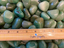 Tumbled Green Aventurine, Dark and Creamy Light - Heart Chakra, Love & Decisiveness, Extra Large and Jumbo sizes