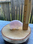 Bear Spirit Stone/ Zuni Bear FB2879