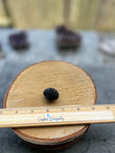 Shell carvings, finely detailed in assorted stones FB2133