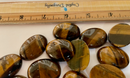 Gold Tiger Eye OVAL Shape Cabochons; FB3172 🐅
