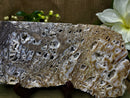 Sphalerite Slab, Large Drusy, excellent quality for stability, grounding and balance FB3206