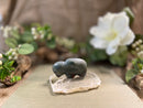 Bloodstone Bison Spirit Stone/ Zuni Bison FB1390