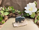 Bloodstone Bison Spirit Stone/ Zuni Bison FB1390