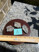 Chalcedony Drusy Free Form Natural Pieces FB2150