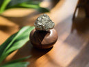 Stunning Pyrite Cluster for Abundance and Luck FB1414 🪻