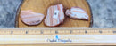 Banded Carnelian Small Slabs - complements tumbled stones, crystal bowls and grids FB3167