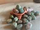 Tumbled Dragon Blood - GREEN - Jasper from Australia FB3072