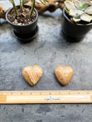 Marrakesh Jasper Carved Hearts FB1332 🏜️