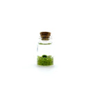 Moss Living Plant in Water / Glass Jar with Assorted Stones FB3331